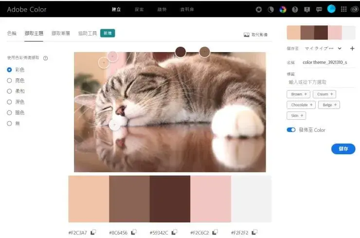 Adobe Color10