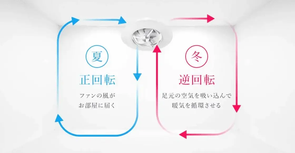 冬天夏天