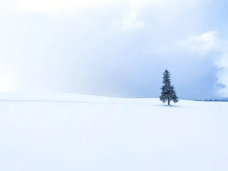 北海道